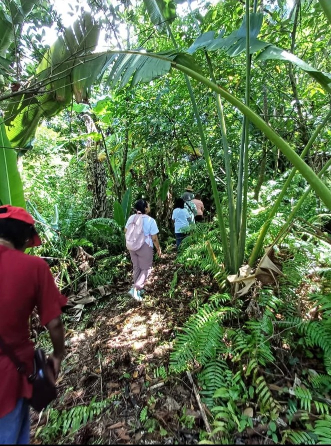 Amateurs in the Garden Group